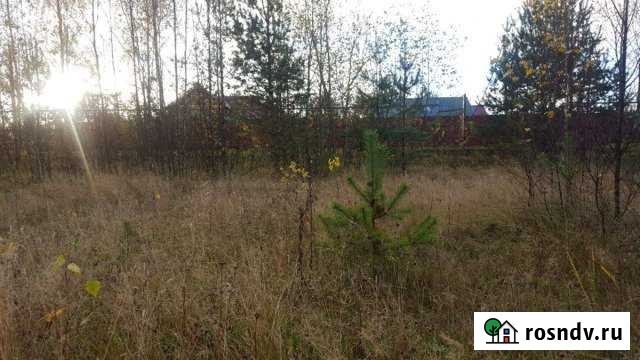 Участок СНТ, ДНП 1300 сот. на продажу в Сертолово Сертолово - изображение 1