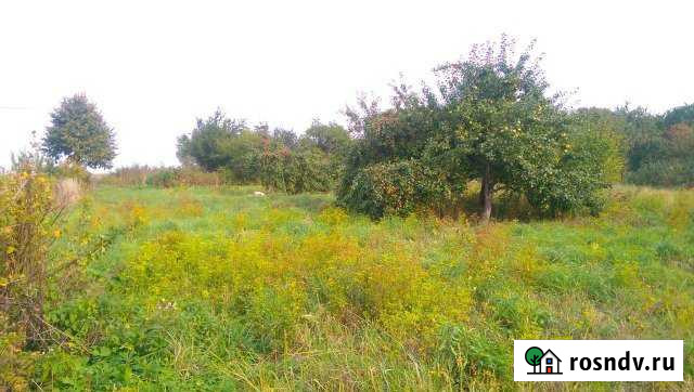 Участок СНТ, ДНП 6 сот. на продажу в Гурьевске Калининградской области Гурьевск - изображение 1