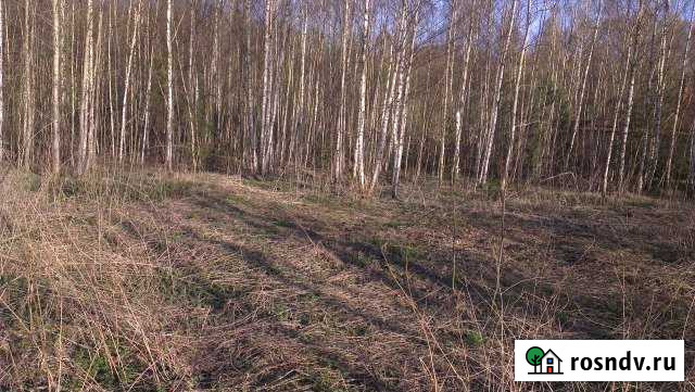 Участок ИЖС 8 сот. на продажу в Павловском Посаде Павловский Посад - изображение 1