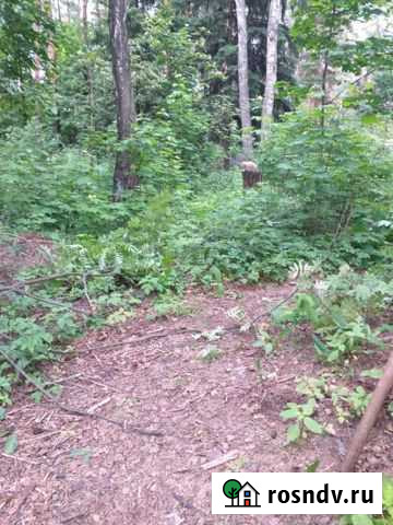 Участок СНТ, ДНП 6000 сот. на продажу в Рамони Рамонь - изображение 1