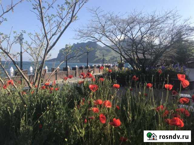 Комната 25 м² в 1-ком. кв., 1/1 эт. в аренду посуточно в Старом Крыме Старый Крым - изображение 1