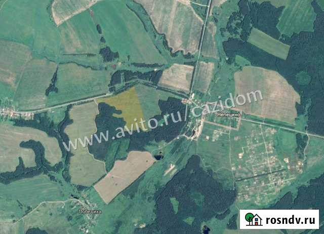 Участок СНТ, ДНП 2591 сот. на продажу в Богородске Богородск - изображение 1