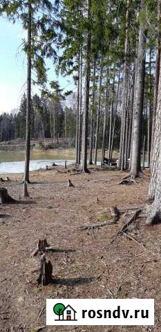 Участок ИЖС 14 сот. на продажу в Первомайском Ленинградской области Первомайское - изображение 1