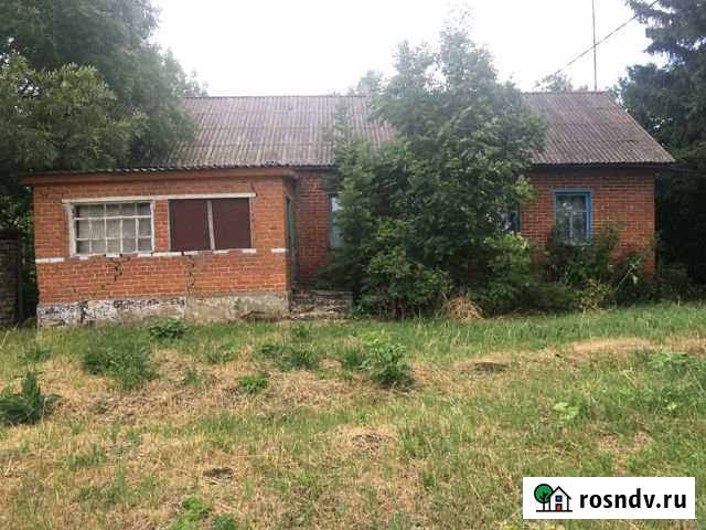 Дом 60 м² на участке 39 сот. на продажу в Казаках Казаки - изображение 1