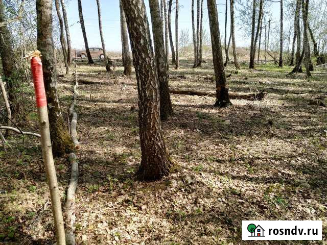 Участок СНТ, ДНП 6 сот. на продажу в Видном Видное - изображение 1