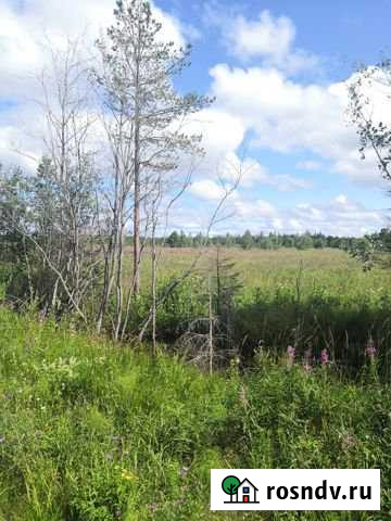 Участок СНТ, ДНП 10 сот. на продажу в Рахье Рахья - изображение 1