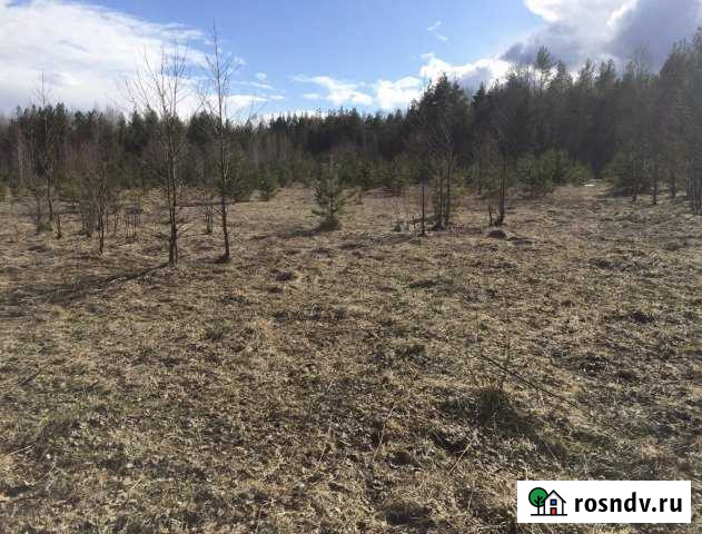 Участок ИЖС 27 сот. на продажу в Рошале Рошаль - изображение 1