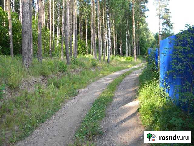 Участок СНТ, ДНП 7 сот. на продажу в Дмитрове Дмитров - изображение 1