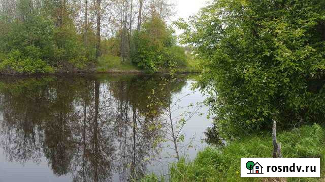 Участок ИЖС 25 сот. на продажу в Выборге Выборг - изображение 1