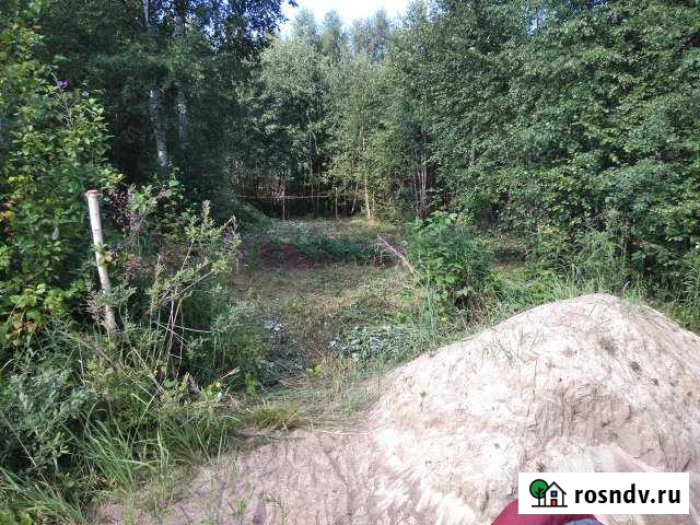 Участок СНТ, ДНП 5 сот. на продажу в Туношне Туношна - изображение 1