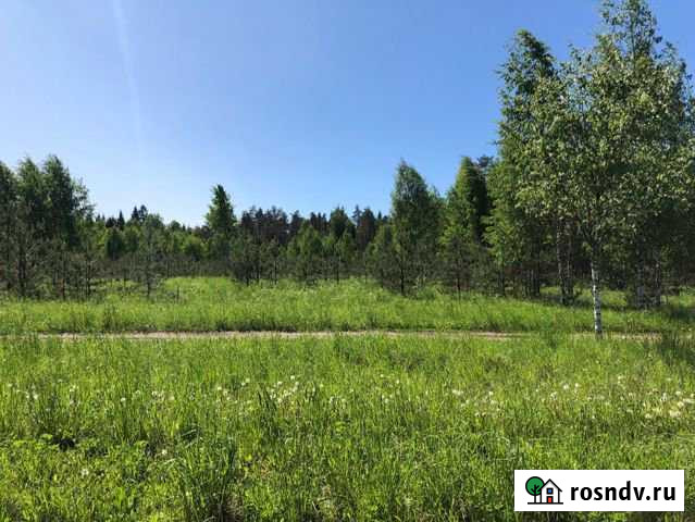 Участок ИЖС 30 сот. на продажу в Кингисеппе Кингисепп - изображение 1