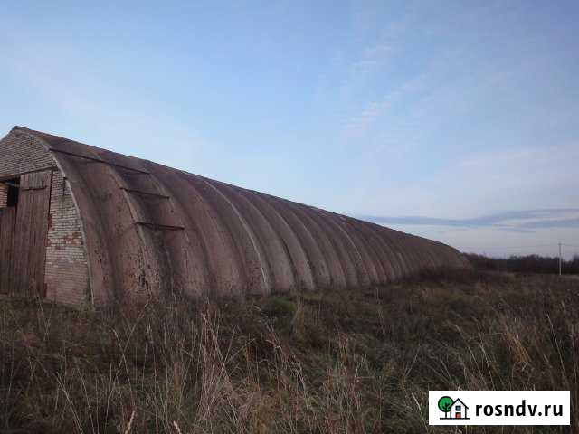 Гараж >30 м² в аренду на Острове Остров - изображение 1