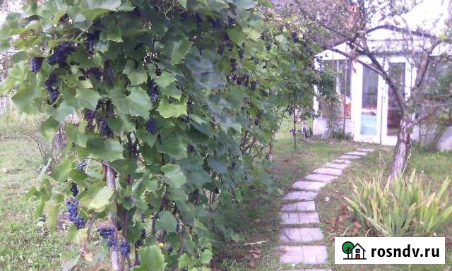 Дача 30 м² на участке 12 сот. на продажу в Пущино Пущино - изображение 1