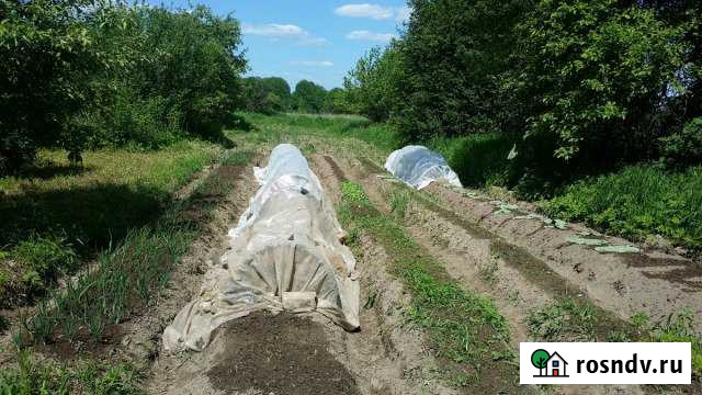 Дача 45 м² на участке 15 сот. на продажу в Торжке Торжок - изображение 1