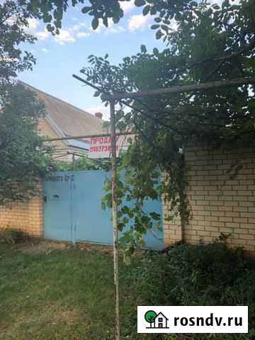 Дом 49 м² на участке 20 сот. на продажу в Бесскорбной Бесскорбная - изображение 1