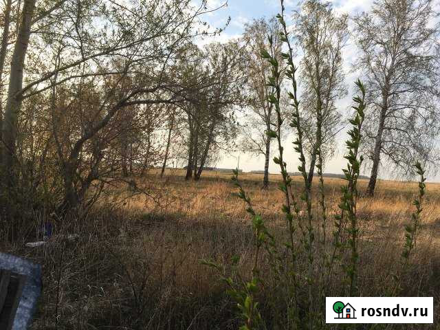 Участок ИЖС 600 сот. на продажу в Троицке Челябинской области Троицк - изображение 1