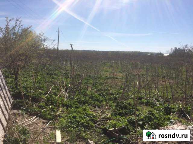 Участок ИЖС 50 сот. на продажу на Лугах Луга - изображение 1