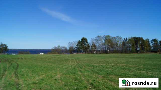 Участок СНТ, ДНП 342 сот. на продажу в Саперном Саперное - изображение 1