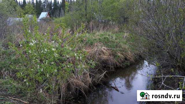 Участок СНТ, ДНП 6 сот. на продажу в Реже Реж - изображение 1