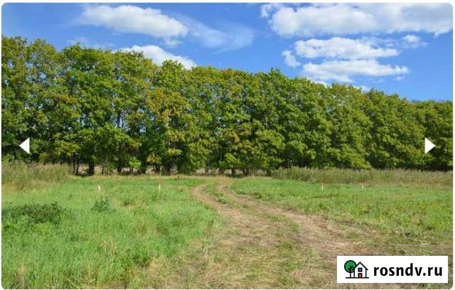 Участок СНТ, ДНП 8 сот. на продажу в Кашире Кашира - изображение 1