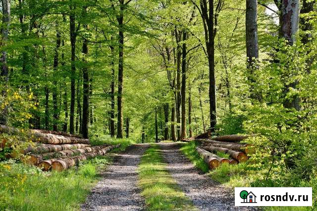 Участок СНТ, ДНП 20 сот. на продажу в Николо-Павловском Николо-Павловское - изображение 1