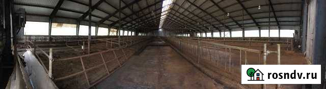 Производственное помещение, 3347.4 кв.м. Ильинское - изображение 1