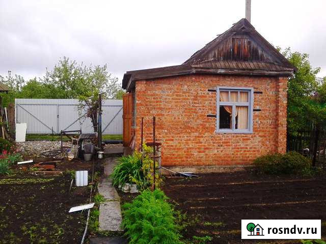 Дача 20 м² на участке 5 сот. на продажу в Балаково Балаково - изображение 1