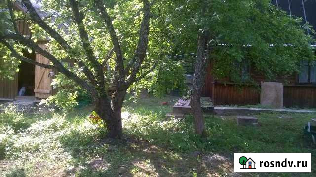 Участок СНТ, ДНП 6 сот. на продажу в Дружной Горке Дружная Горка - изображение 1