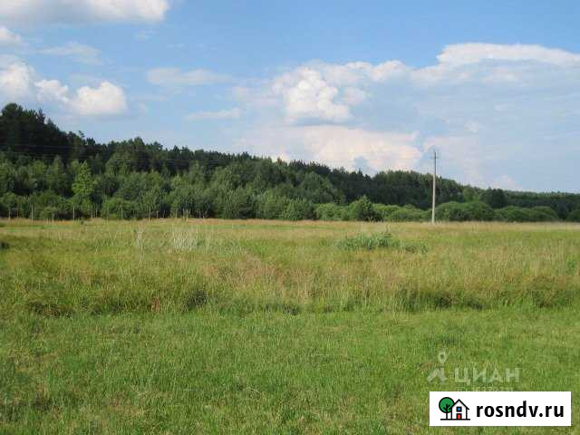 Участок СНТ, ДНП 350 сот. на продажу в Кочкурово Кочкурово - изображение 1