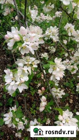 Участок СНТ, ДНП 4 сот. на продажу в Дивноморском Дивноморское - изображение 1