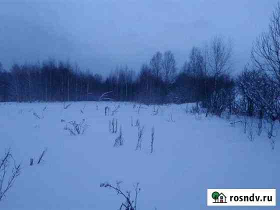 Участок ИЖС 42 сот. на продажу в Торопце Торопец