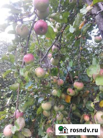 Участок ИЖС 6 сот. на продажу в Краснознаменске Московской области Краснознаменск - изображение 1