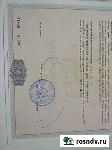 Участок СНТ, ДНП 820 сот. в аренду в Хабаровске Хабаровск - изображение 1