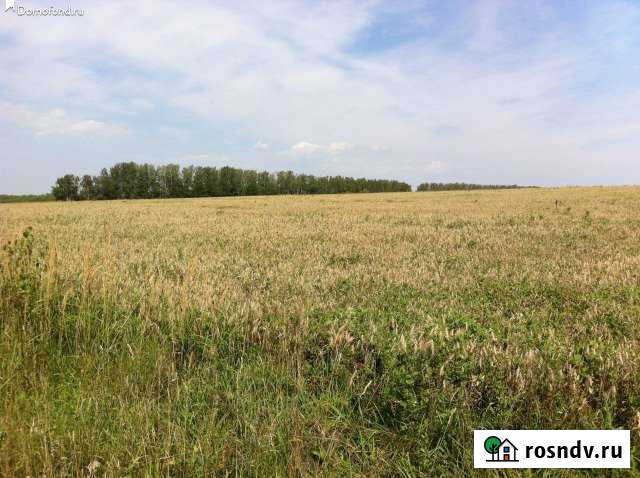 Участок СНТ, ДНП 454 сот. на продажу в Зарайске Зарайск - изображение 1