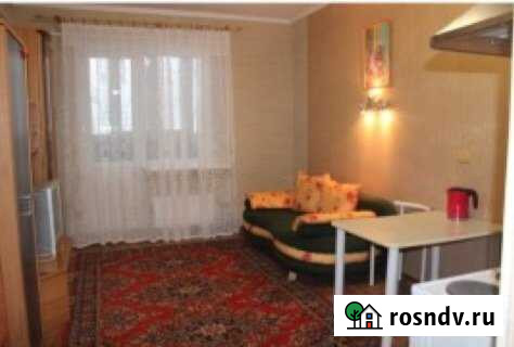 Квартира-студия, 28 м², 17/17 эт. в аренду на длительный срок в Сургуте Сургут - изображение 1