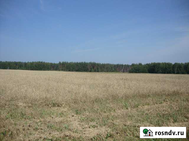 Участок СНТ, ДНП 375 сот. на продажу в Городце Городец - изображение 1