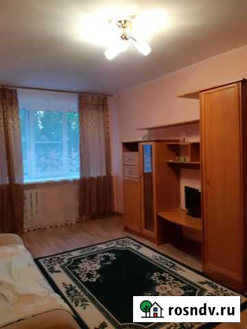1-комнатная квартира, 43 м², 2/5 эт. в аренду на длительный срок в Краснообске Краснообск - изображение 1