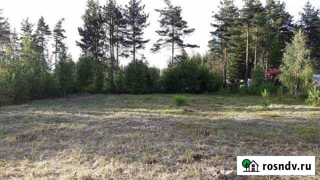 Участок СНТ, ДНП 10 сот. на продажу в Сосновом Бору Сосновый Бор - изображение 1
