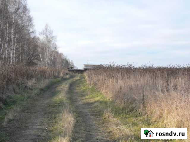 Участок СНТ, ДНП 10 сот. на продажу в Полевском Полевской - изображение 1