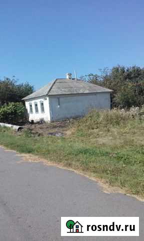 Дом 47 м² на участке 30 сот. на продажу в Репьевке Репьевка - изображение 1