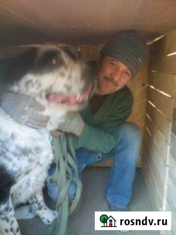 Коттедж 450 м² на участке 4 сот. в аренду на длительный срок в Железнодорожном Московской области Железнодорожный - изображение 1