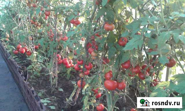 Дом 109 м² на участке 50 сот. на продажу в Ярцево Ярцево - изображение 1