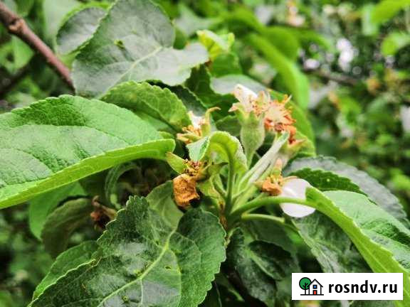 Дом 92.2 м² на участке 7.8 сот. на продажу в Березовском Свердловской области Березовский - изображение 1