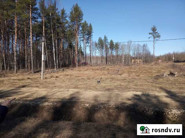 Участок ИЖС 12 сот. на продажу в Лебяжьем Ленинградской области Лебяжье - изображение 1