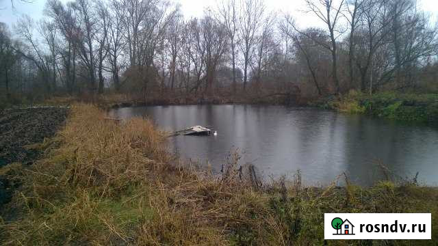 Участок СНТ, ДНП 50 сот. на продажу в Шебекино Шебекино - изображение 1