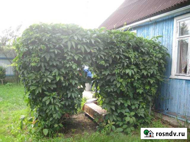 Дача 27.7 м² на участке 6 сот. на продажу в Верее Верея - изображение 1