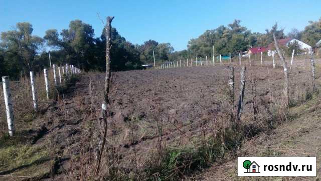 Участок СНТ, ДНП 16 сот. на продажу в Рыбном Рыбное - изображение 1