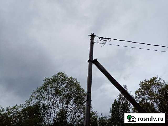 Участок СНТ, ДНП 12 сот. на продажу в Мге Мга - изображение 1