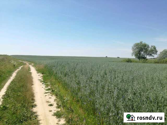 Участок СНТ, ДНП 400 сот. на продажу в Мглине Мглин - изображение 1