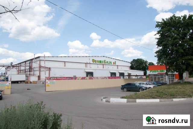 Низкотемпературный склад, от 650 кв.м. Белгород - изображение 1